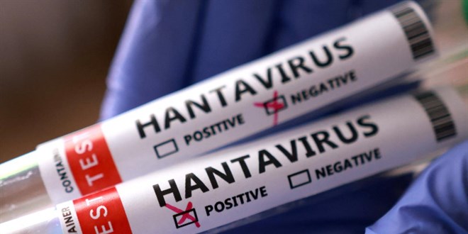 Sağlık Bakanlığı’ndan Hantavirüs bildirisi!